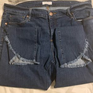 Loft Plus Frayed Tulip Hem Jeans